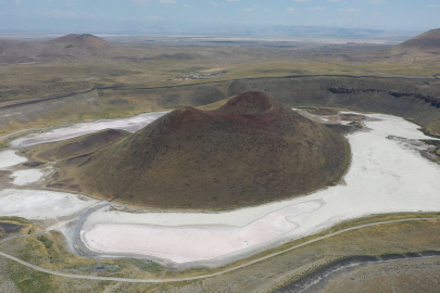 Tamamen kurudu ama ziyaretçisi eksik olmuyor