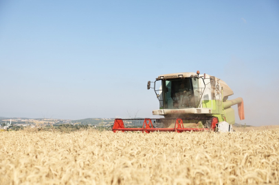 Bursa'da 71 dönümde buğday hasadı başladı