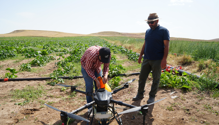 Tarımda teknoloji! Drone sayesinde 150 bin liralık kayıp önlendi - Bursa Hayat Gazetesi-2