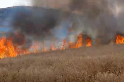 Isparta'da 80 dönüm tarım arazisi küle döndü
