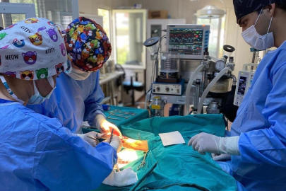 Bursa'da en fazla kısırlaştırma yapan belediye oldu!