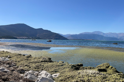 Eğirdir Gölü'nde tehlike çanları!