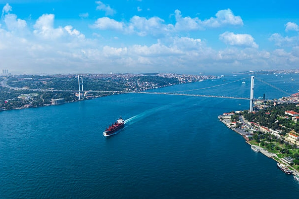 Marmara Denizi'nde hangi balıklar bulunur?