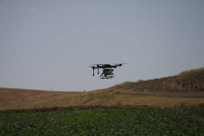 Tarımda teknoloji! Drone sayesinde 150 bin liralık kayıp önlendi