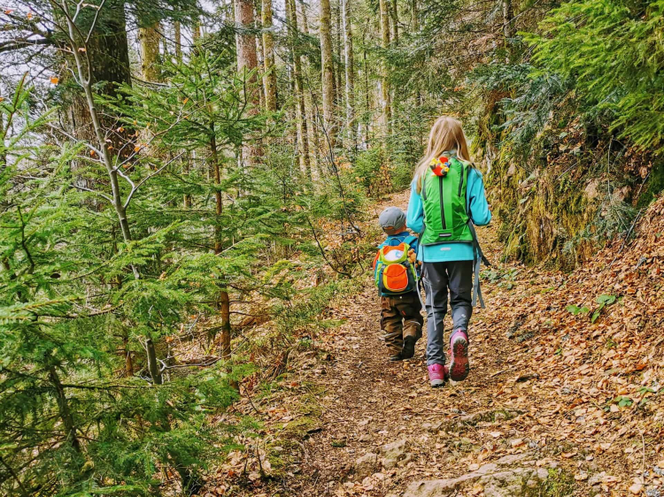 Minik kaşifler: Doğada yürüyüş ve kampın faydaları -Bursa Hayat Gazetesi-2