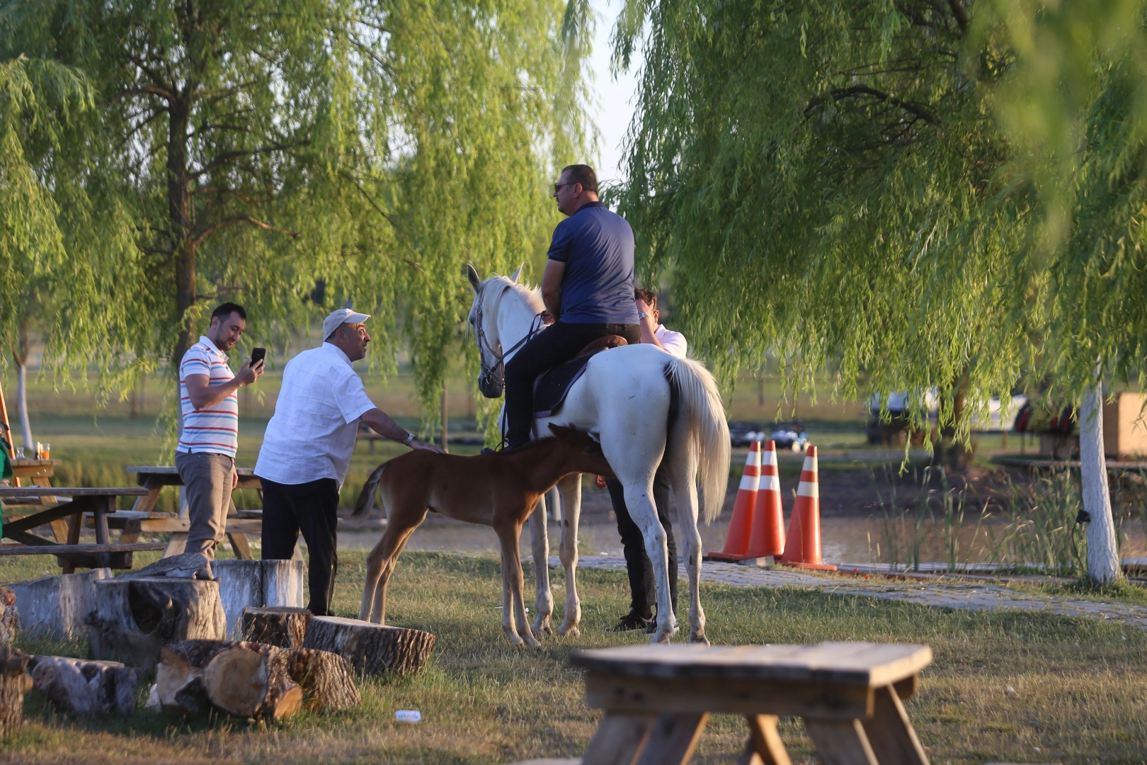 Kısır sanılan at, 10 yıl sonra ilk kez doğum yaptı
