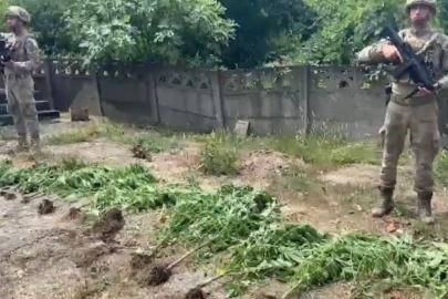 Sakarya'daki uyuşturucu operasyonlarında çok sayıda kişi gözaltında