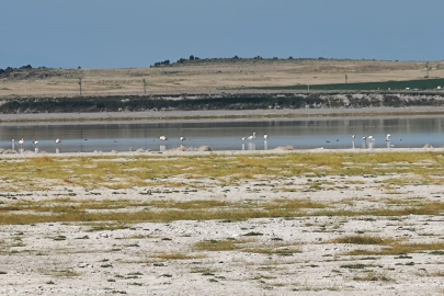 Arin Gölü'nde korkutan görüntü! "Gittikçe kuruyor"