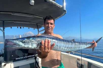 Kral balığı Türkiye'de görüldü mü? Kral balığı yenir mi? Kral balığının diğer adı nedir?