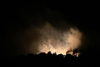 İzmir Urla'daki orman yangını kontrol altında