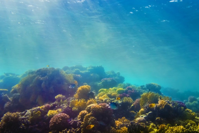 Atlantik Okyanusu: Dünya'nın ikinci büyük okyanusu