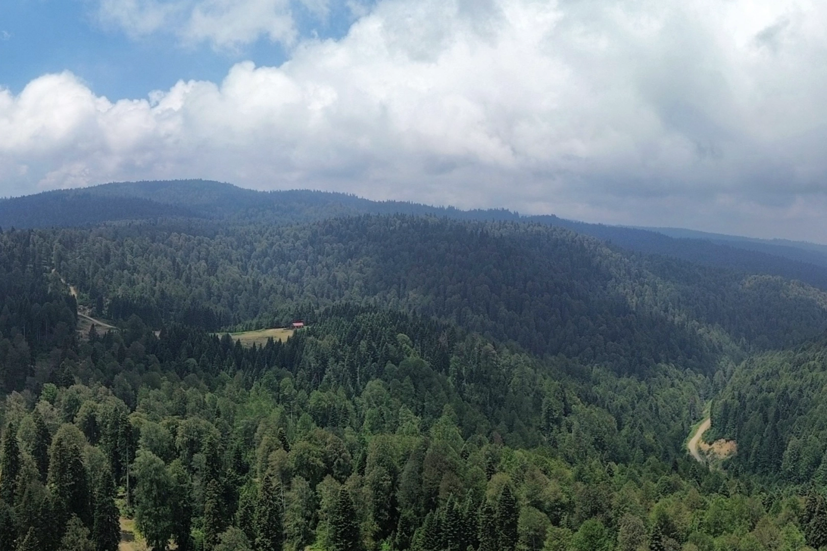 Düzce'nin Saklı Cenneti: Sinekli Yaylası