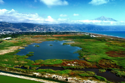 Milleyha Kuş Cenneti: Göç yolundaki kuşların uğrak noktası