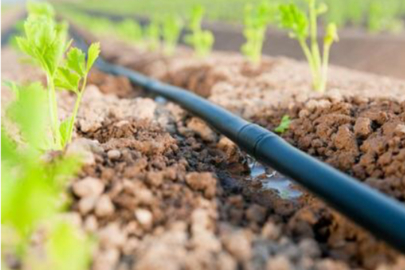 Damla Sulama Sistemlerinin faydaları ne?