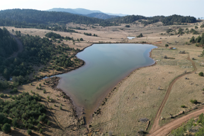 Egriceova Yaylası ve Göleti tabiat parkı olmaya aday