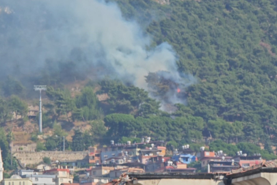 Habibi Neccar Dağı'nda yer alan ormanlık alanda yangın!
