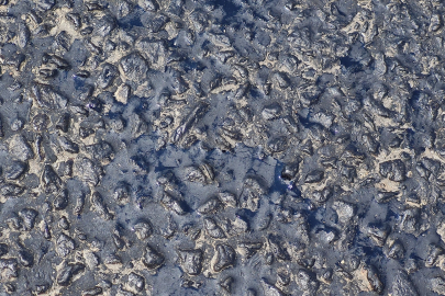 Aşırı sıcaklar Bodrum'da asfaltı eritti