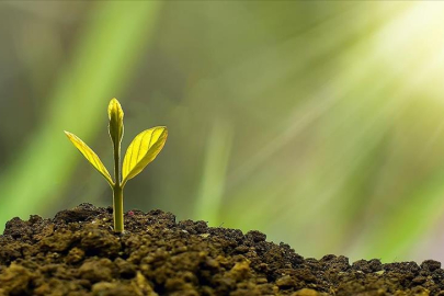 Sürdürülebilir yaşam için bilimsel çalışmaların önemi