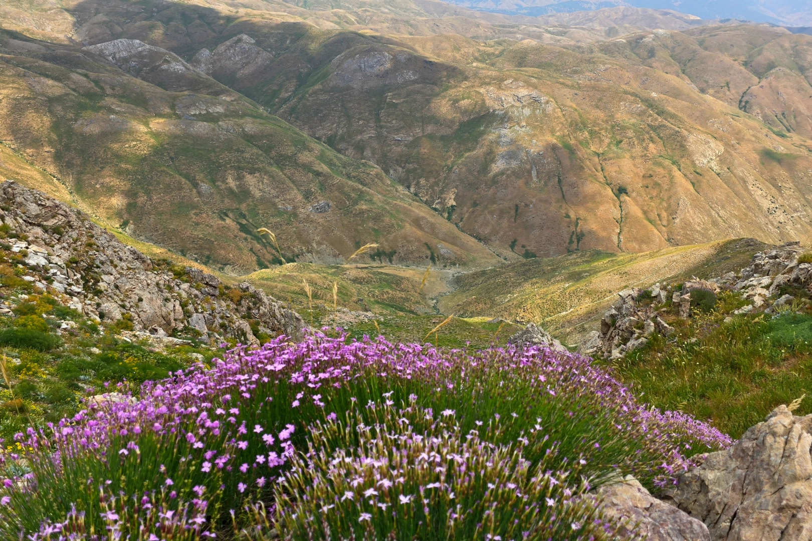 Doğa tutkunlarının uğrak noktası: Zoveser Dağı