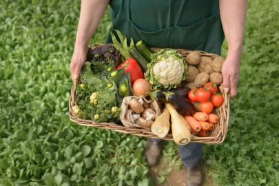 Organik ürünler neden daha pahalı?