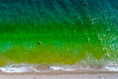 Denizin rengi neden değişir?