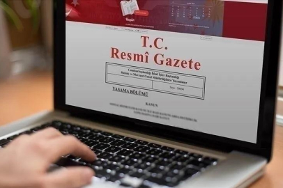 Sahipsiz hayvanlara yönelik düzenleme Resmi Gazete'de!