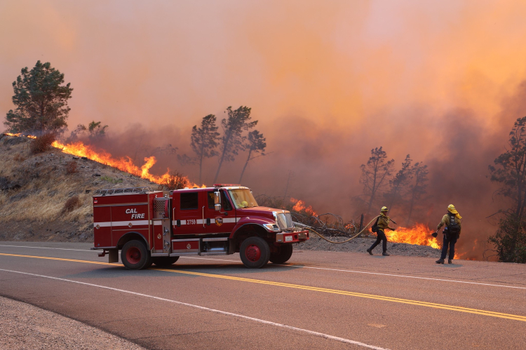 California eyaleti tarihinin en büyük 4. orman yangını - Bursa Hayat Gazetesi-3