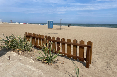 Bursa'da o bitkiyi koparana 387 bin 141 TL ceza!