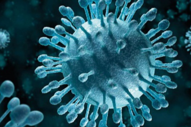 Virüslerin biyolojisi: Yapı, üreme ve yayılma mekanizmaları