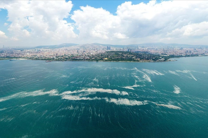 Marmara Denizi: Sıcaklık, oksijensizleşme ve kirlilik sorunları
