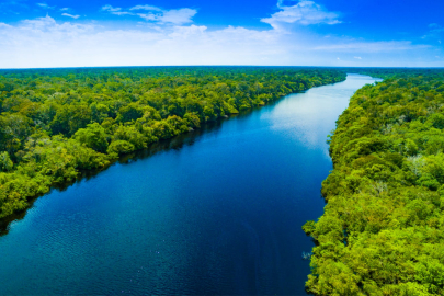 Amazon ormanlarının yok oluşu: Küresel bir tehdit