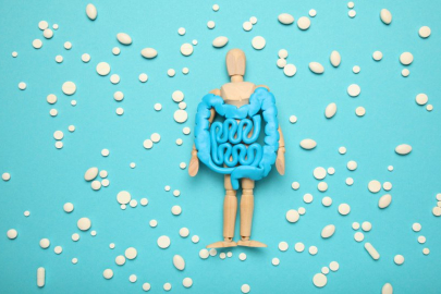 Bağırsaklardaki bakteriler neden önemli?