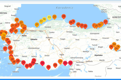 18 Ağustos 2024 Pazar deniz suyu sıcaklıkları