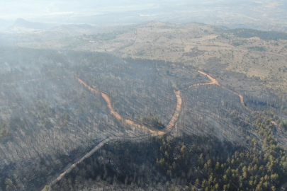 Orman yangınının ardından yürek yakan manzara!