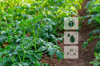 Hassas tarım ve veri toplama: Hassas tarım uygulamaları nelerdir?