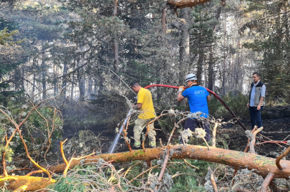 Orman Genel Müdürlüğü: "Soğutma çalışmaları sürüyor"