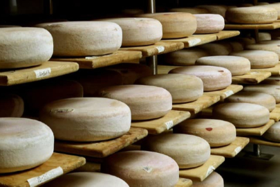 Olgunlaştırılmış peynir nedir ve nasıl yapılır?