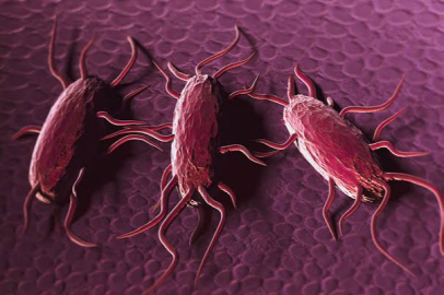 Listeria bakterisi nedir, nasıl bulaşır?