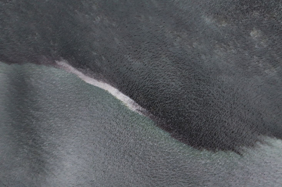 Balık ölümlerine neden olan etkenler nelerdir?