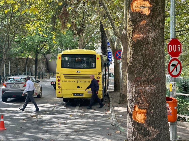 Bursa'da can pazarı: Belediye otobüsü kaza yaptı, yolcu camdan fırladı Bursa Hayat Gazetesi -3