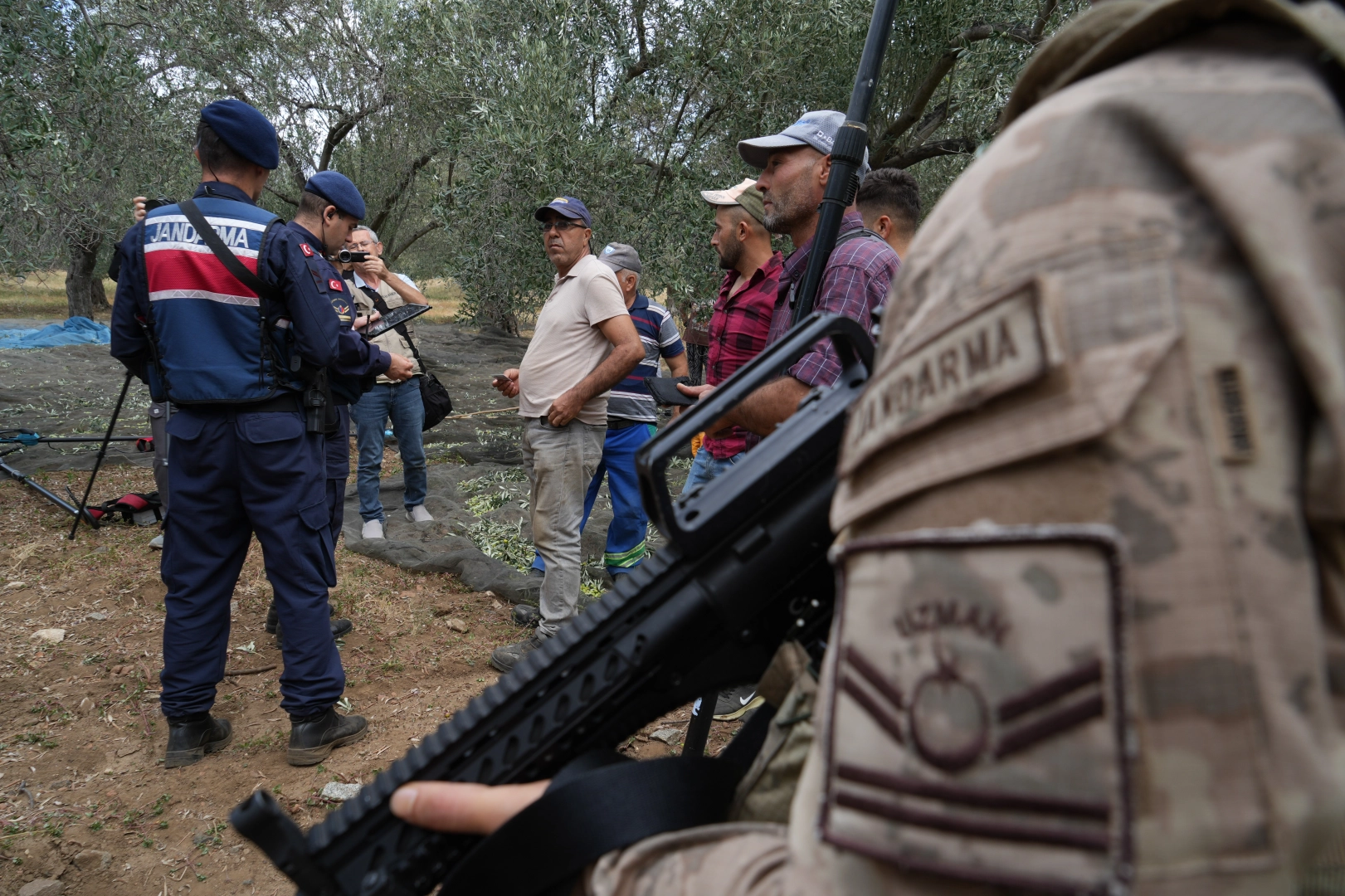 Zeytin bahçeleri jandarma korumasında