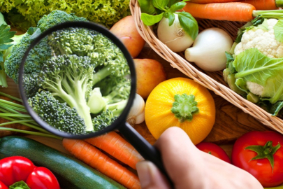 Güvenilir gıda ve gıda güvenilirliği: Temel kavramlar ve önemi