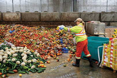 İsrafın ekonomik boyutları: Kaybı azaltmanın yolları