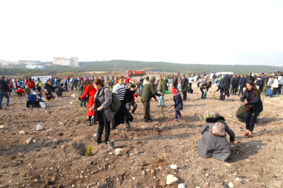Bursa Uludağ Üniversitesi’nde yanan ormanlar fidanla buluşuyor