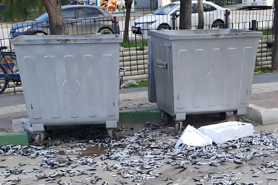 Bursa’da tepki çeken olay! Ekipler kent ve çevre düşmanını arıyor