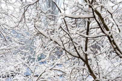 2024 Zemheri tarihi: Kışın en soğuk dönemi ne zaman başlıyor?