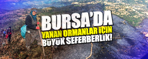 Bursa’da yanan ormanlar için büyük seferberlik!