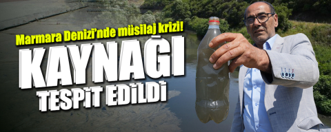 Marmara Denizi’nde müsilaj krizinin kaynağı tespit edildi!