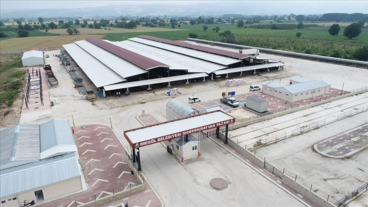 Üç hafta önce kapatılmıştı! İnegöl Hayvan Pazarı için yeni karar-Bursa Hayat Gazetesi-2