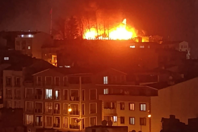 Tarihi Kestel Kalesi'nde yangın paniği!